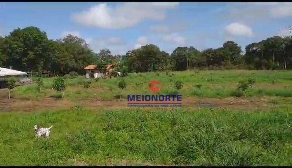 Fazenda à venda com 2 quartos, 300000M2 - Foto 3