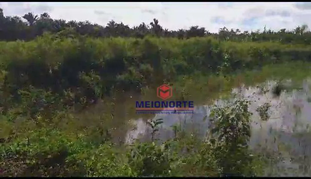 Fazenda, 30 hectares - Foto 12
