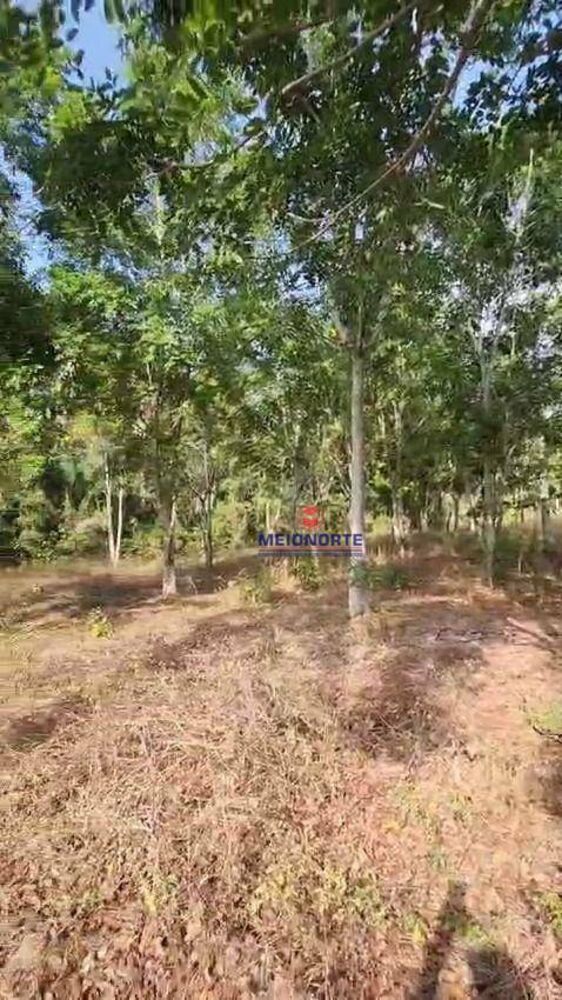 Fazenda à venda com 2 quartos, 300000M2 - Foto 8