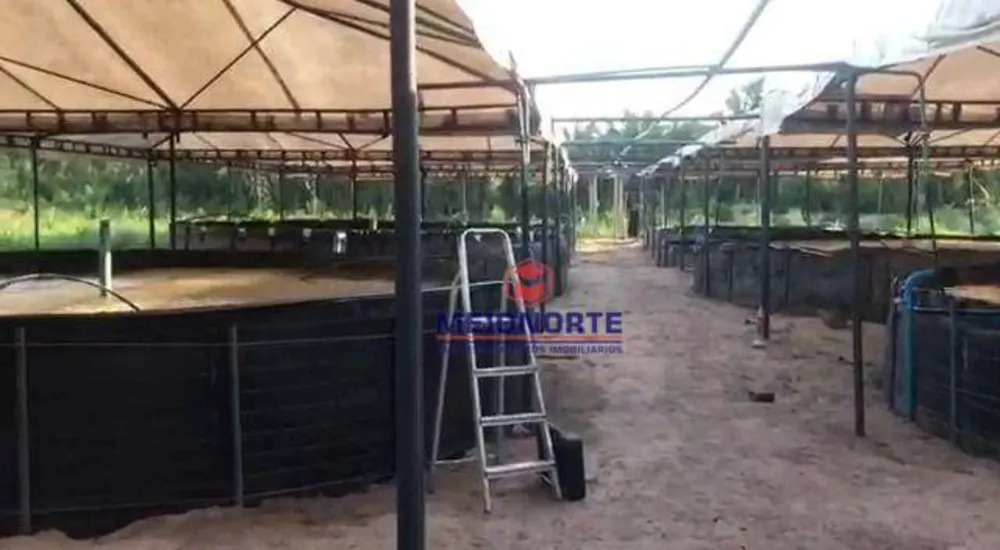 Fazenda, 30 hectares - Foto 10