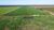 Fazenda-Sítio-Chácara, 781 hectares - Foto 6
