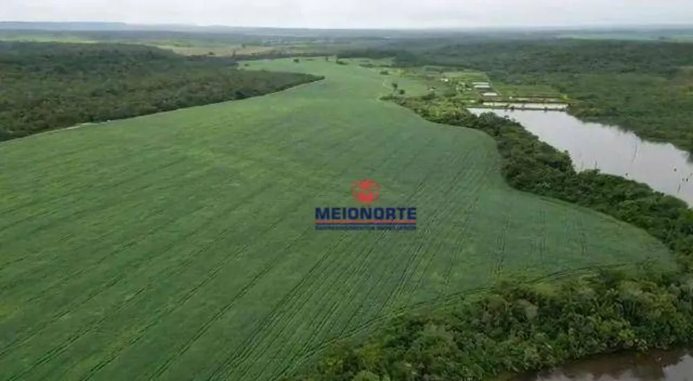 Fazenda, 1000 hectares - Foto 16