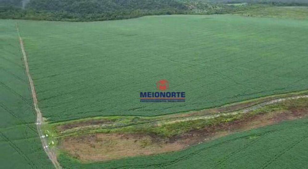Fazenda à venda com 1 quarto, 10000000M2 - Foto 8