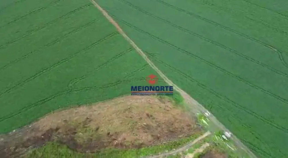 Fazenda, 1000 hectares - Foto 12