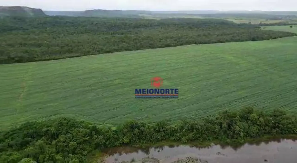 Fazenda, 1000 hectares - Foto 15