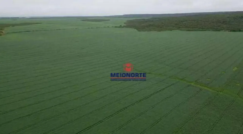 Fazenda, 1000 hectares - Foto 13