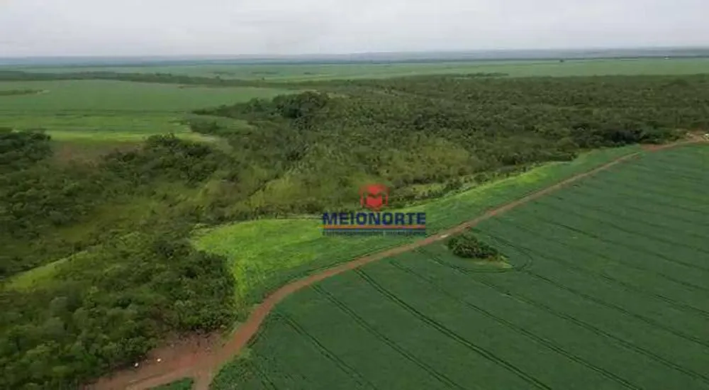 Fazenda, 1000 hectares - Foto 10