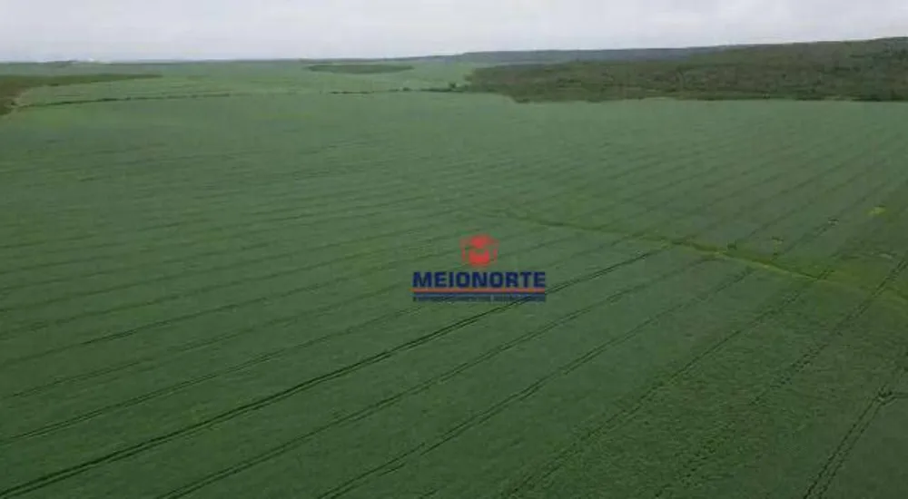 Fazenda, 1000 hectares - Foto 11