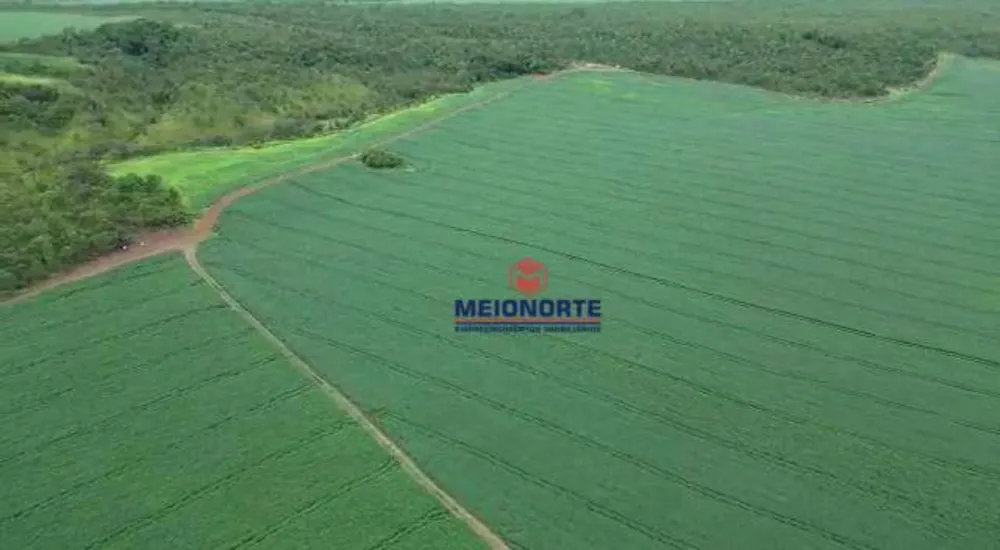 Fazenda, 1000 hectares - Foto 9