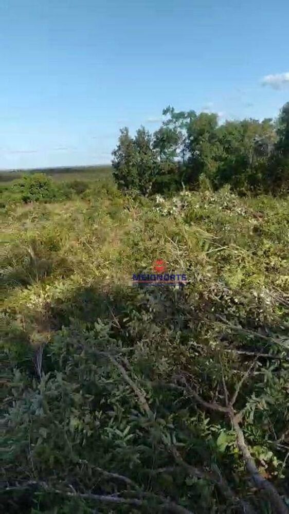Fazenda, 1780 hectares - Foto 4