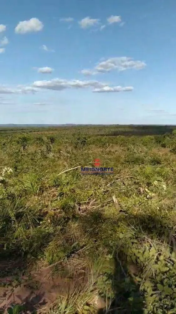 Fazenda, 1780 hectares - Foto 9