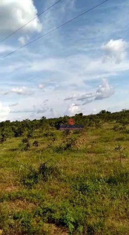 Fazenda, 1780 hectares - Foto 7