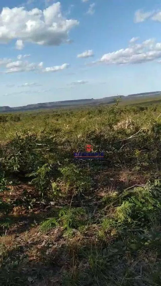 Fazenda, 1780 hectares - Foto 4