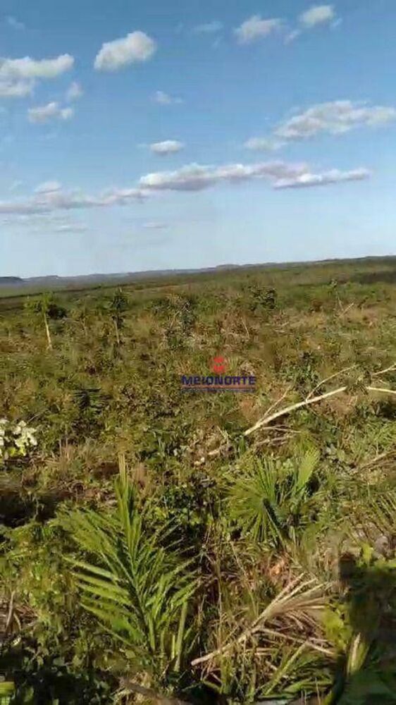 Fazenda, 1780 hectares - Foto 1