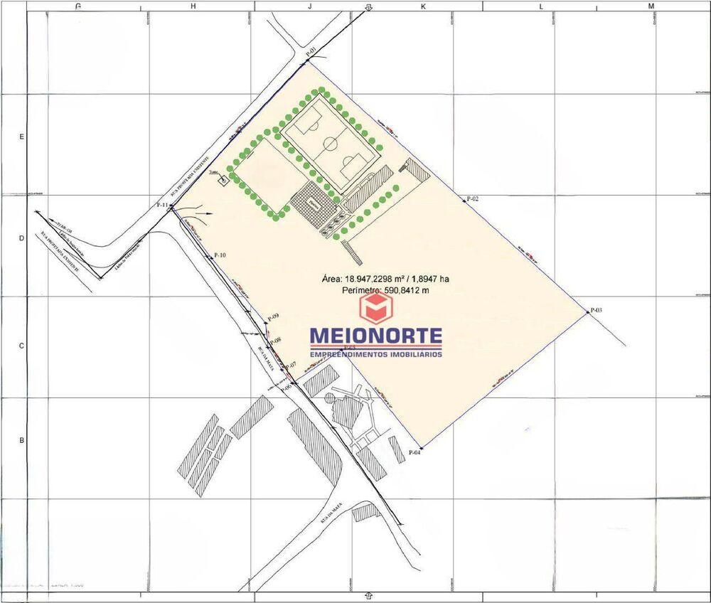 Terreno, 2 hectares - Foto 2