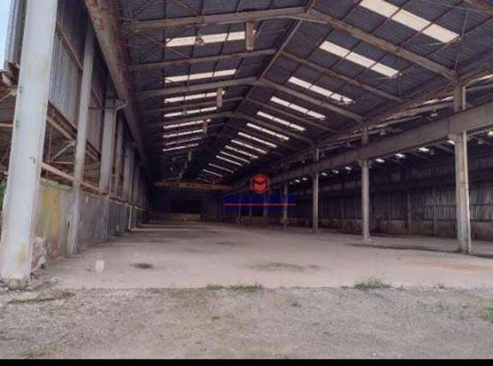 Depósito-Galpão, 6000 m² - Foto 4