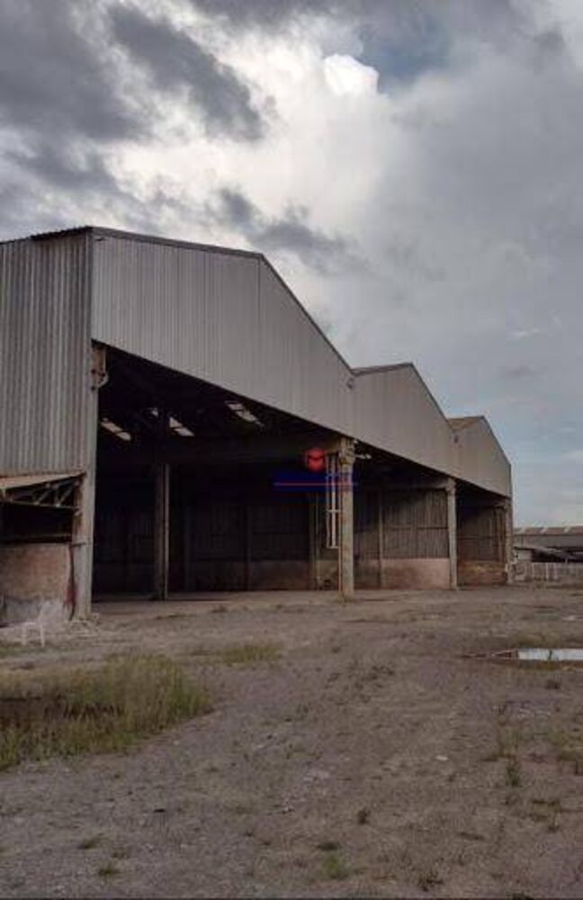 Depósito-Galpão, 6000 m² - Foto 5