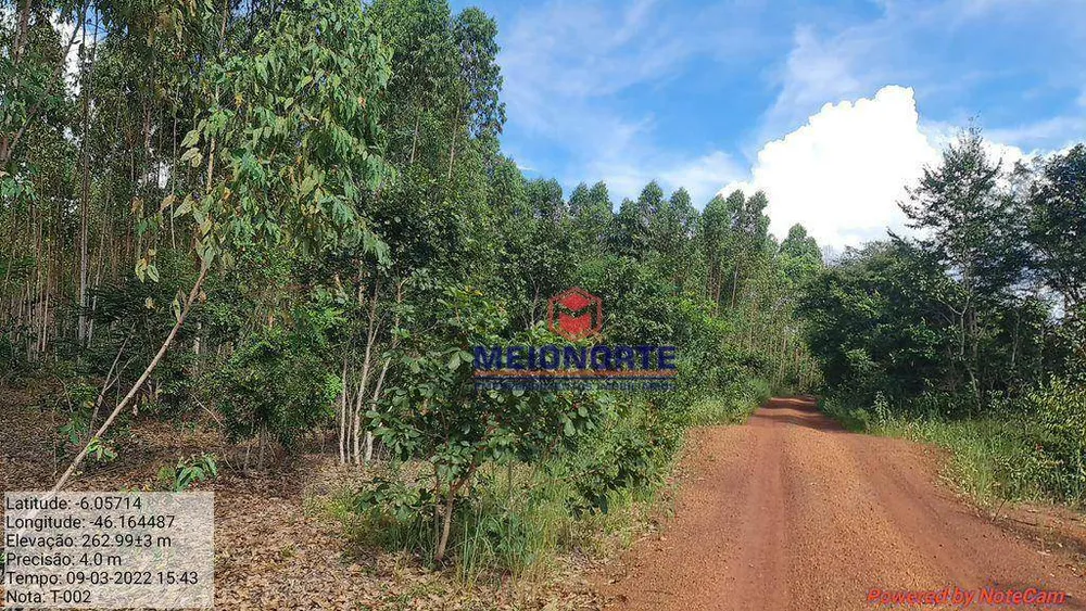Fazenda, 2351 hectares - Foto 13