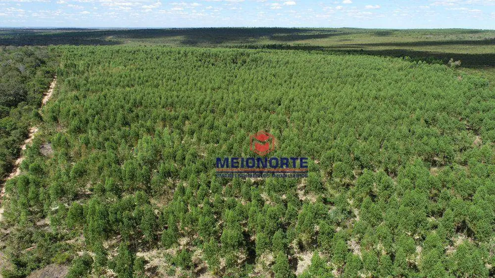 Fazenda, 2351 hectares - Foto 10