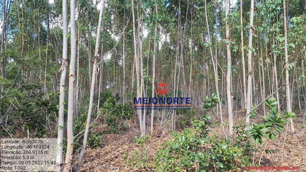 Fazenda, 2351 hectares - Foto 11