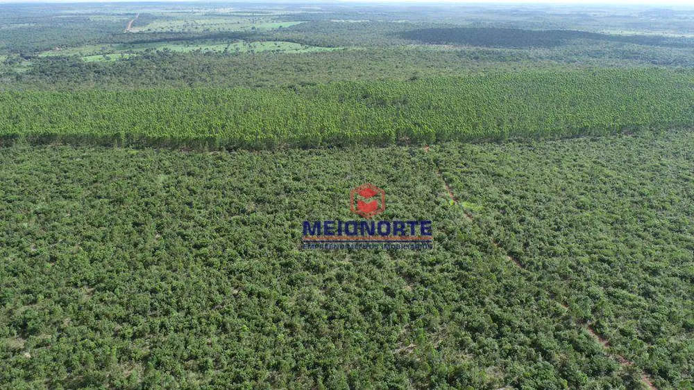 Fazenda, 2351 hectares - Foto 14