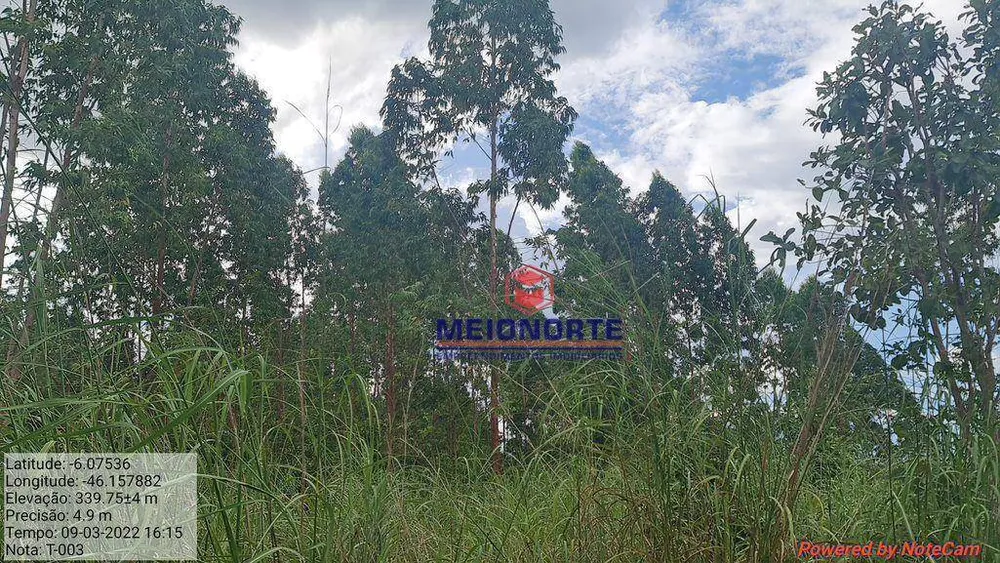Fazenda, 2351 hectares - Foto 12