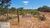 Fazenda, 2351 hectares - Foto 2