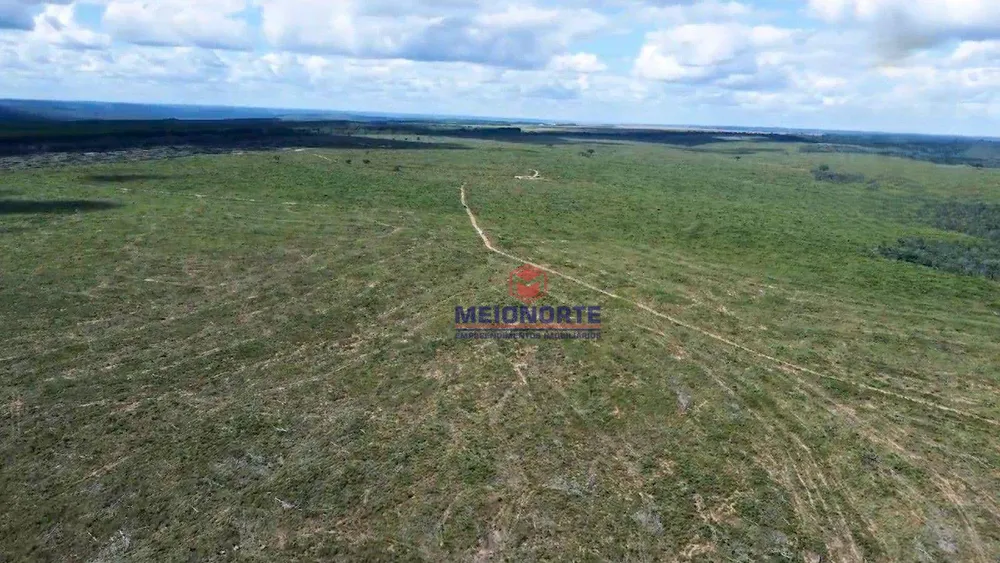Fazenda, 3 hectares - Foto 6