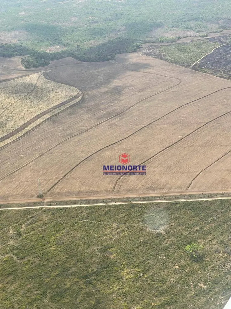 Fazenda, 1239 hectares - Foto 10