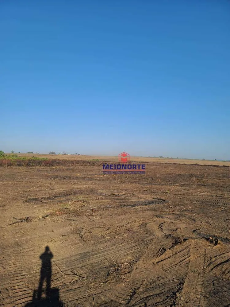 Fazenda, 1239 hectares - Foto 13