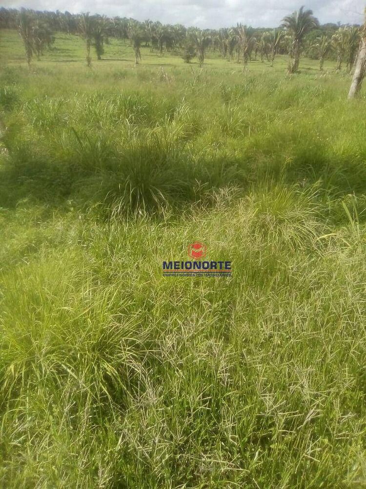 Fazenda, 755 hectares - Foto 4