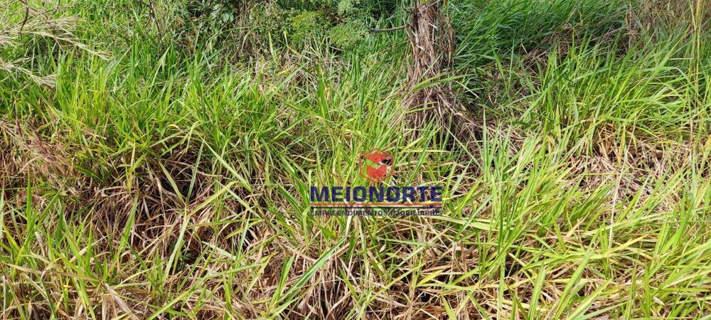 Fazenda, 2600 hectares - Foto 2