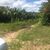 Terreno, 45 hectares - Foto 2