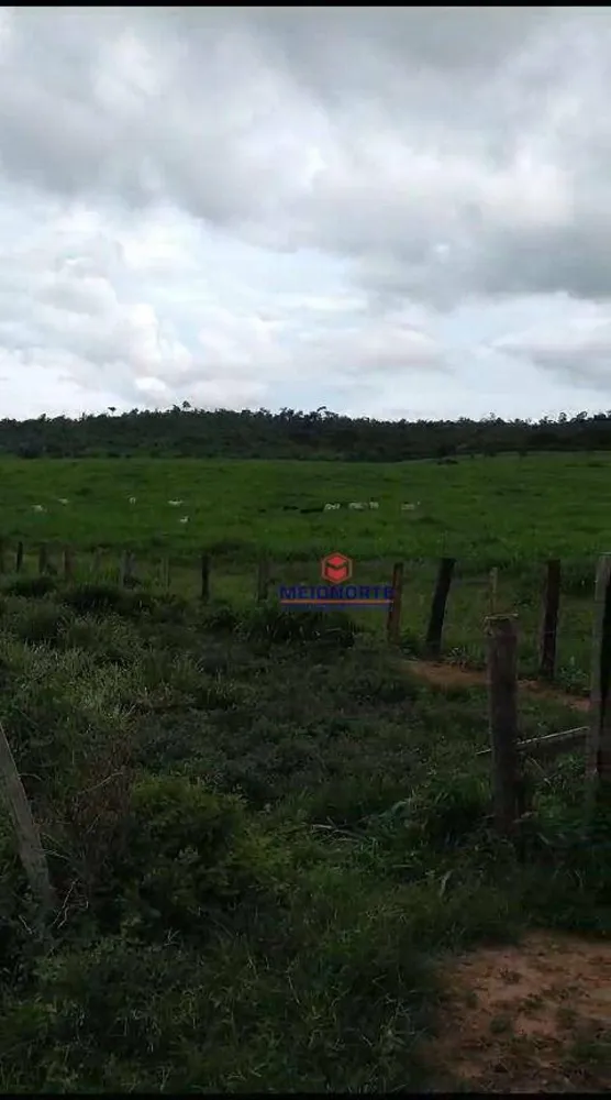 Fazenda, 10000 m² - Foto 1