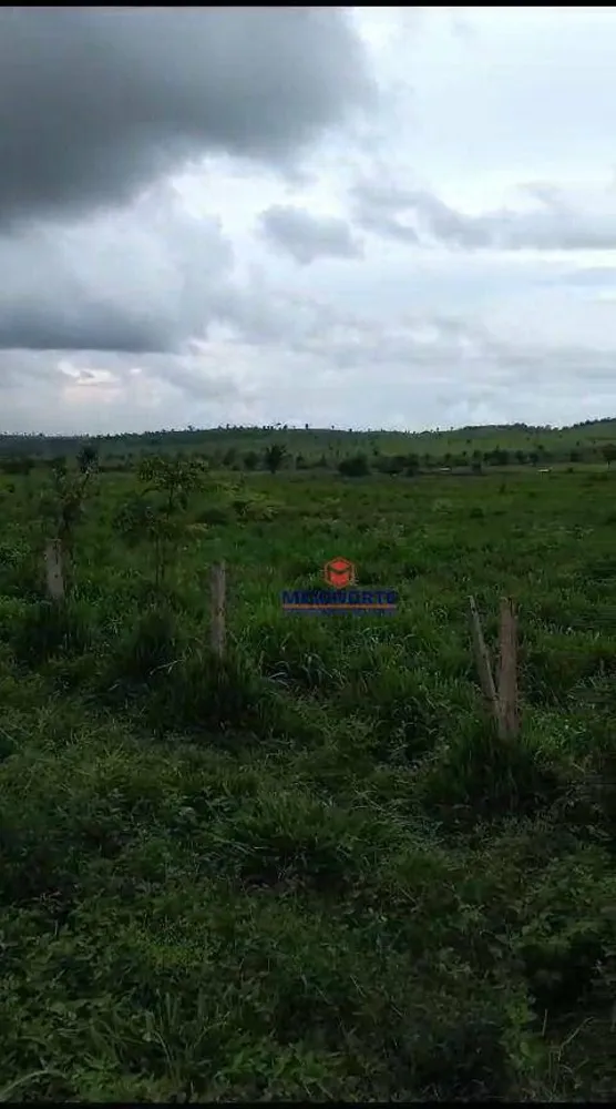 Fazenda, 10000 m² - Foto 5