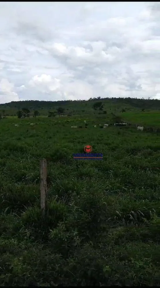 Fazenda, 10000 m² - Foto 6