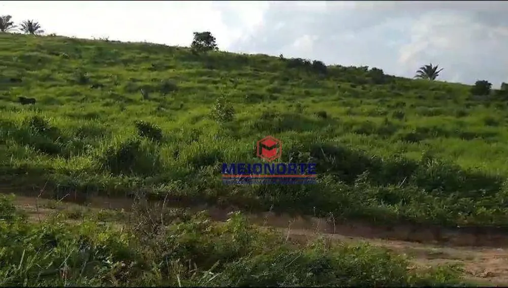 Fazenda, 10000 m² - Foto 4
