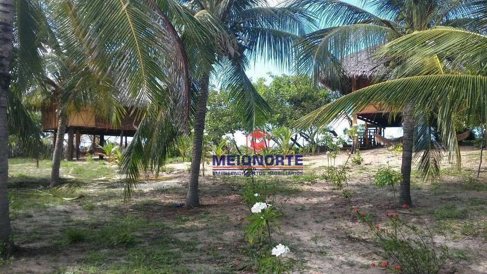 Terreno, 2 hectares - Foto 6
