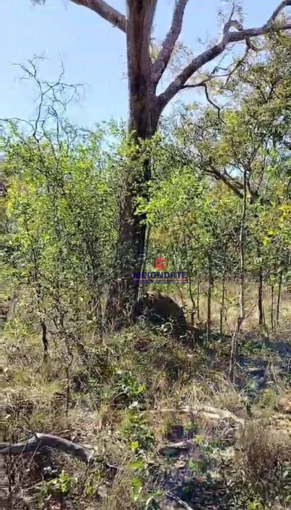 Fazenda, 4000 hectares - Foto 3
