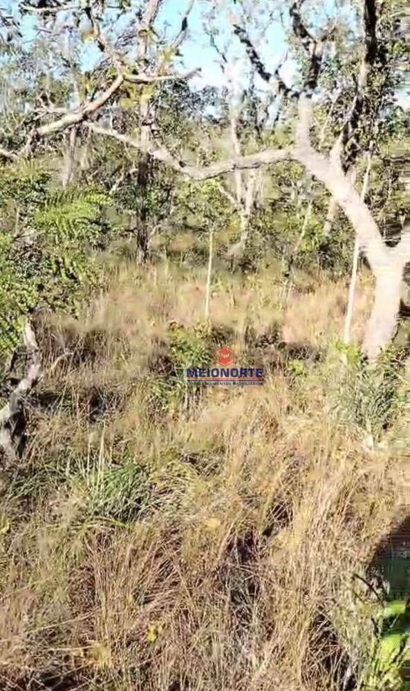 Fazenda, 4000 hectares - Foto 1