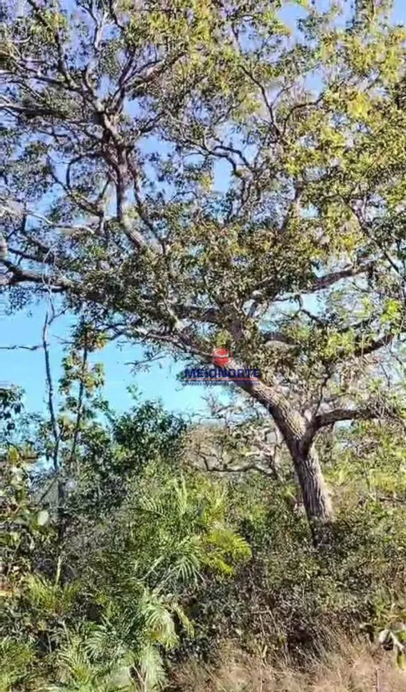 Fazenda, 4000 hectares - Foto 8