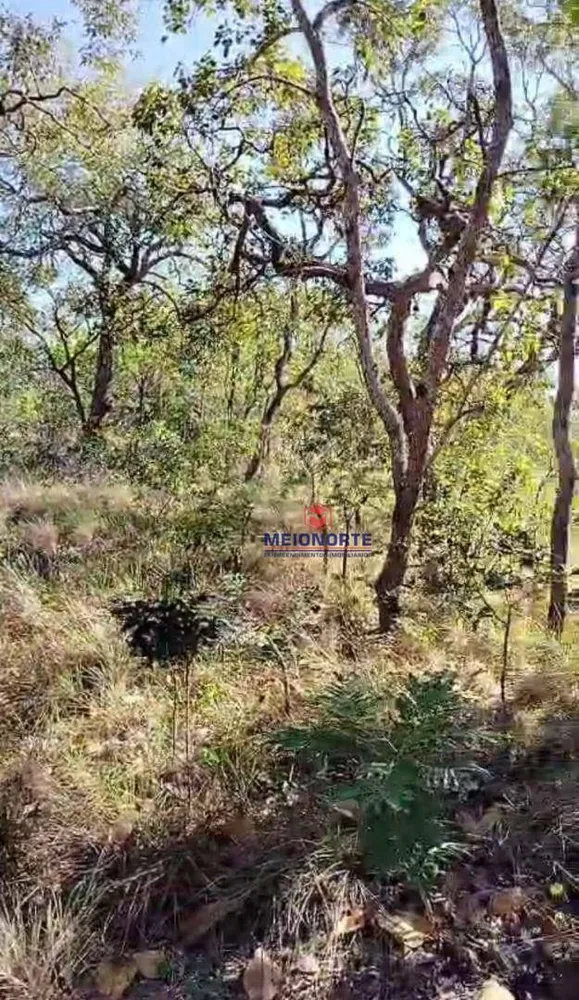 Fazenda, 4000 hectares - Foto 1
