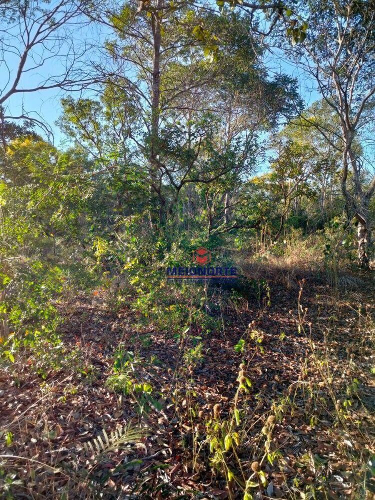 Fazenda, 4000 hectares - Foto 2