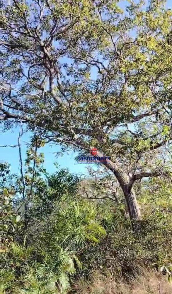 Fazenda, 4000 hectares - Foto 4