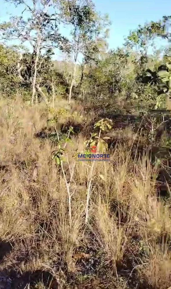 Fazenda, 4000 hectares - Foto 4