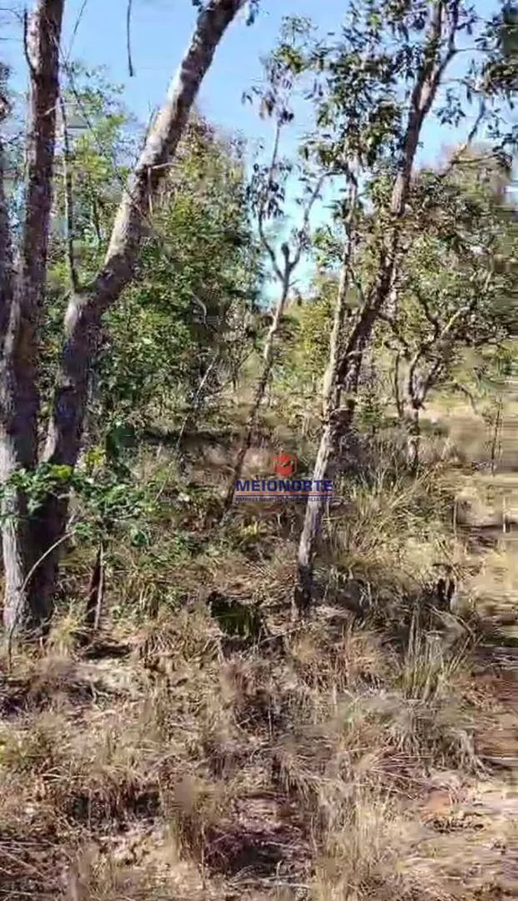 Fazenda, 4000 hectares - Foto 2