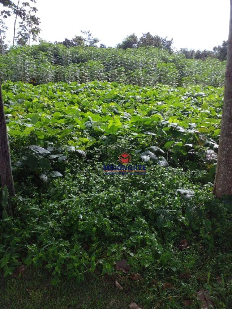 Fazenda, 1653 hectares - Foto 8