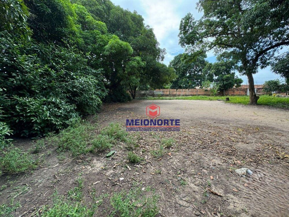 Terreno, 4335 m² - Foto 3