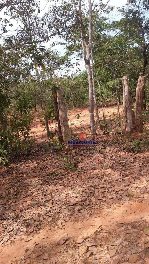 Fazenda, 689 hectares - Foto 6