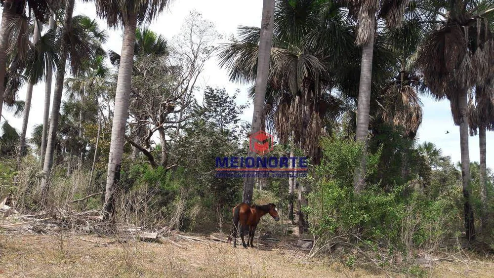Fazenda, 689 hectares - Foto 7